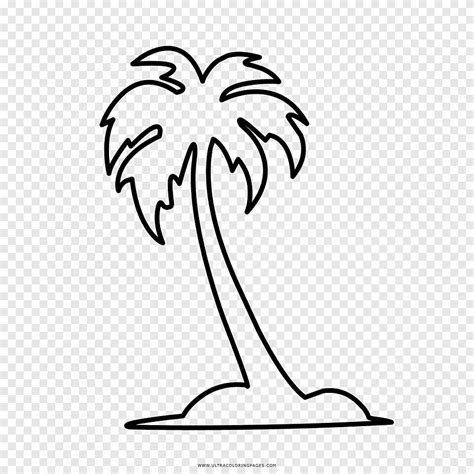 Coloring Book Drawing Arecaceae Palm Tree White Leaf Png Pngegg