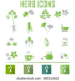 Herb Icons Vector Illustration Eps Stock Vector Royalty Free