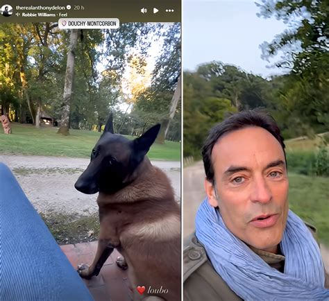 Anthony Delon Poste Une Vid O Du Chien De Son P Re Loubo Accompagn