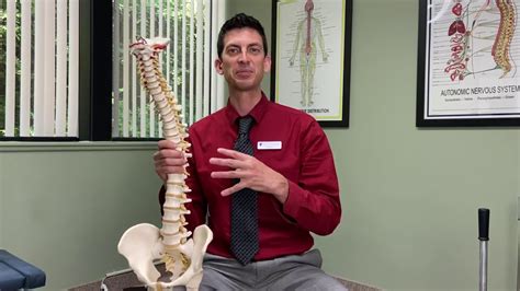 Troy Mi Chiropractor Spinal Degenerative Process Youtube