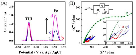 Chemosensors Free Full Text A Simple Ratiometric Electrochemical