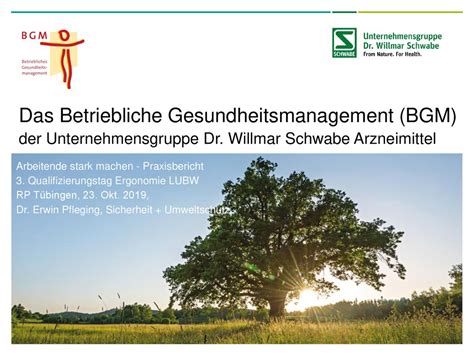 Das Betriebliche Gesundheitsmanagement BGM Der Unternehmensgruppe Dr