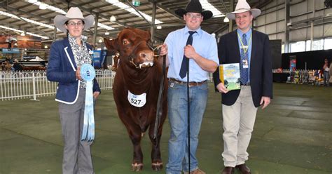 Melbourne Show cattle winners | Stock & Land | VIC