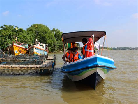 Negombo Lagoon Boat Tour Negombo Lagoon Boat Tours In Sri Lanka