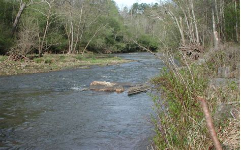 North Georgia Mountain Land For Sale North Georgia Mountain Realty