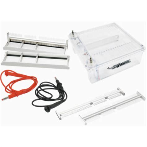 Mini Horizontal Gel Electrophoresis System