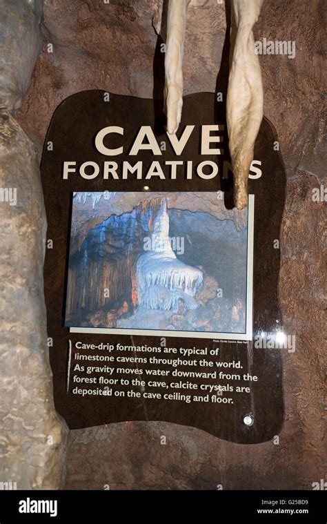 Florida Caverns State Park Is Located In Marianna In The North Florida Panhandle Region Stock