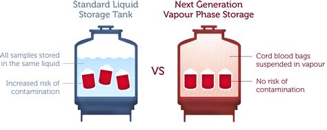 Liquid Nitrogen Tank Cell Storage