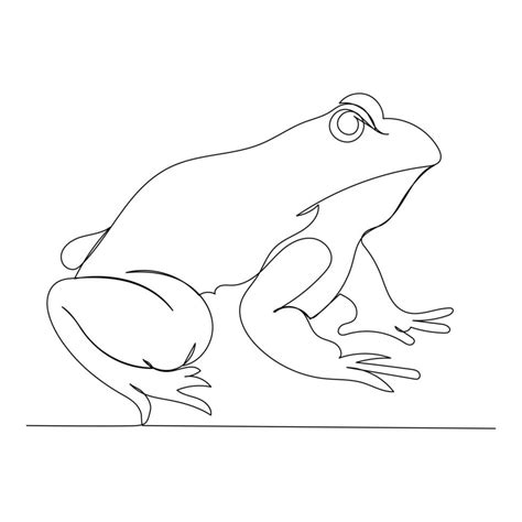 Vector Frog Line Art Drawing Illustration 40977730 Vector Art At Vecteezy