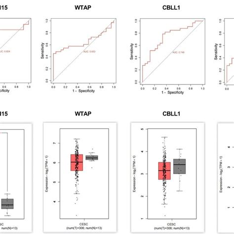 Roc Curve And Gene Expression Analysis Of Hub Genes A Roc Curve