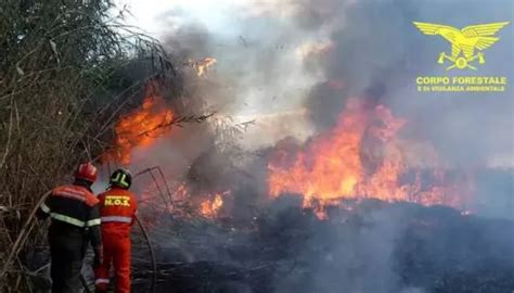 Youtg Net Incendio Nelle Campagne Di Arzana Elicottero In Volo