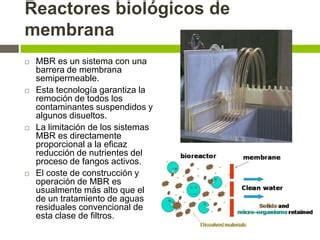 Depuración de aguas residuales PPT