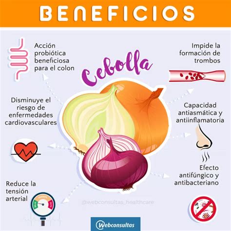 Beneficios De La Cebolla Para La Salud Casto Garlic Hot Sex Picture