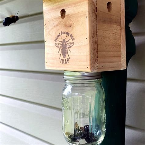 Wood Borer Bee Trap Plans