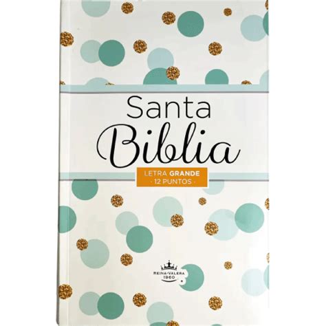 Biblia Reina Valera Letra Grande Filo Plateado Tapa Flexible