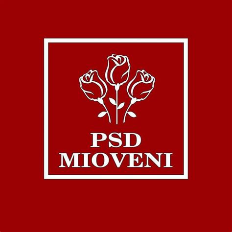 Organizaţia PSD Mioveni se solidarizează cu primarul reţinut de DNA Ion