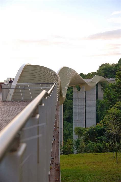 Henderson Waves Bridge, Singapore