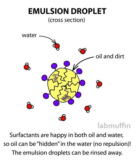 Fact Check What Is Micellar Water And How Does It Work An Update Lab Muffin Beauty Science