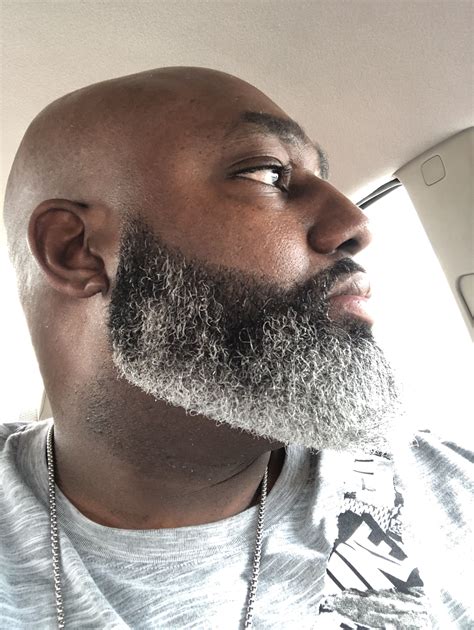 Pin By Andrico Henderson On Salt And Pepper Beard Bald With Beard Bald Men With Beard Gray Beards