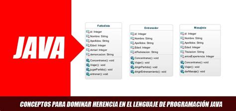 Conceptos Para Dominar Herencia En Java Java