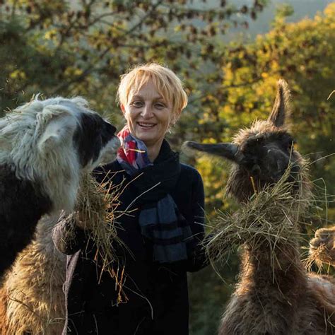 Willkommen Bei Den Kluser Lamas In Aesch