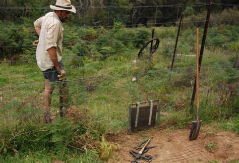 The Habitat Advocate Wombat Protection Archives - The Habitat Advocate