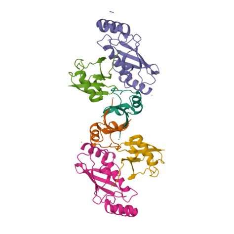 RCSB PDB 6SQO Crystal Structure Of Human MDM2 RING Domain Homodimer