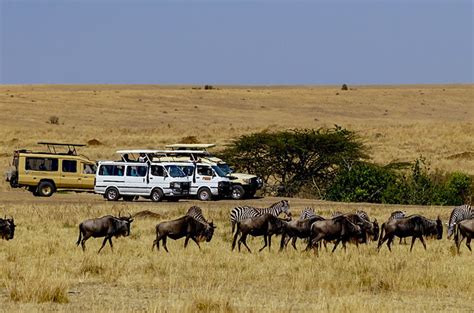 3 Days Maasai Mara Group Joining Safari From Trailfinders Africa Safaris