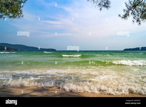 Tropical Beach Les Conif Res Sur Une Belle Plage Avec Du Sable Jaune