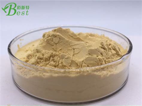 Pure Panax Ginseng Extract 5 80 Ginsenosides Korean Red Ginseng Root