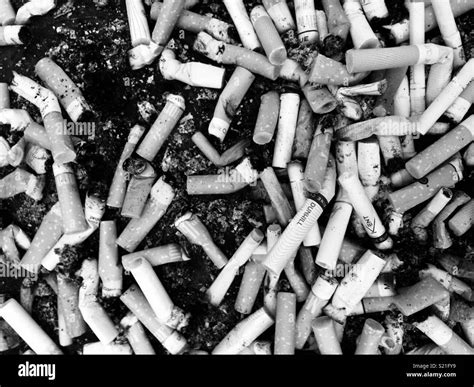 Cigarette butts in ashtray Black and White Stock Photos & Images - Alamy