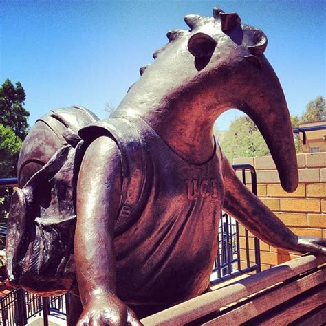 Photos at The Hill (UCI Bookstore) - University of California-Irvine ...