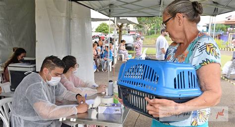 Novo mutirão de castração será dias 25 e 26 no Pq Nossa Senhora das