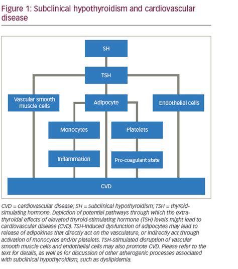 Subclinical Hypothyroidism What Is Responsible For Its Association