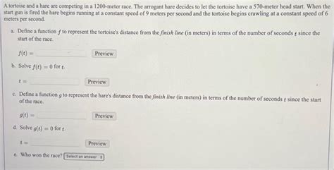 Solved A Tortoise And A Hare Are Competing In A Meter Chegg