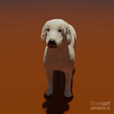 3d Computer Rendered Illustration Of A Labrador Retriever Digital Art