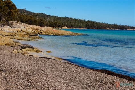 Why Freycinet National Park Is My Favourite Place In Tasmania Y Travel Blog Bloglovin’