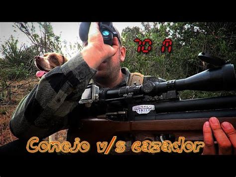 Caza De Conejos Con Rifle Pcp Ultimo Video Del A O Rabbit