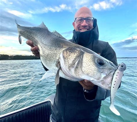 Guide De P Che Golfe Du Morbihan Perrodo Py P Che Du Bar Et Dorade