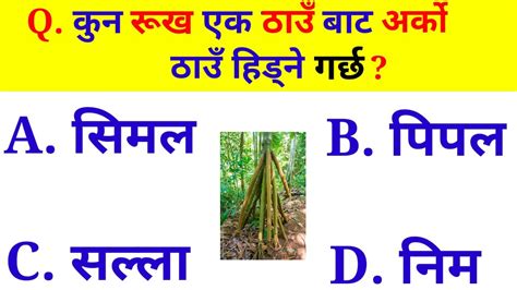 Nepali Gk Question And Answer Quiz Questions In Nepali GK Facts