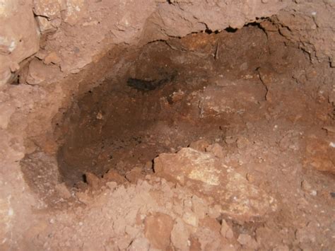 Pileta De Prehistoria Los Expolios Se Ceban Sobre La Cueva De Las