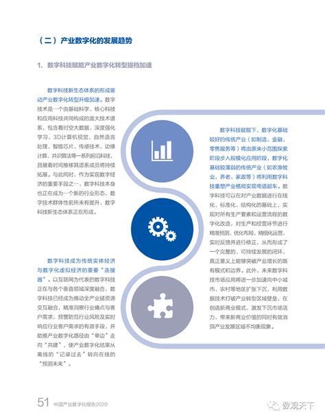 2020中国产业数字化报告数观天下 商业新知