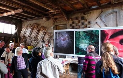 La Fête de leau de Wattwiller 2013 aura pour thème eaux et forêts