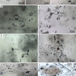 Photomicrographs Of Fluid Inclusions In The Gold Deposits A Primary