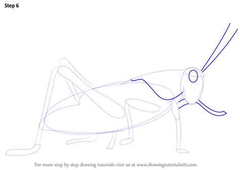 Learn How to Draw a Grasshopper (Insects) Step by Step : Drawing Tutorials