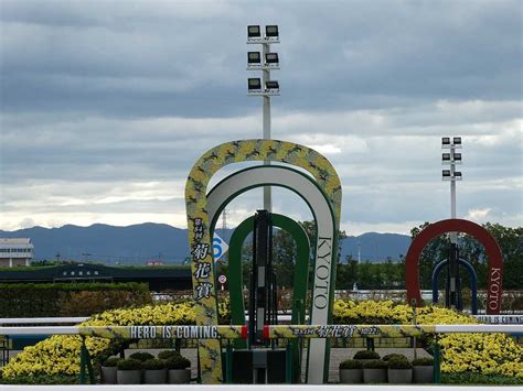 【菊花賞】 夢の頂点へ、伝統の坂道の先に菊が咲く。（ドゥレッツァ） 白い稲妻・多摩の黒酢（たまの くろす） ほぼ競馬なブログ Since