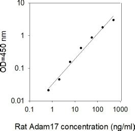 Rat Adam Tace Elisa Kit Raybiotech