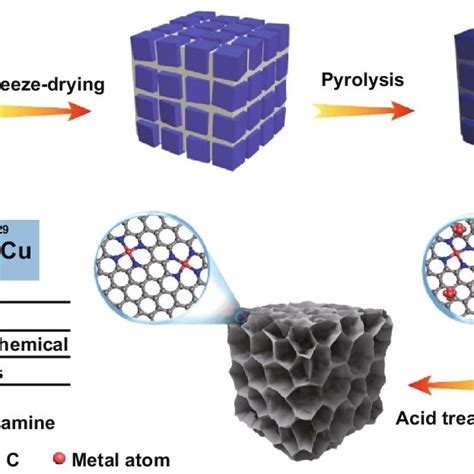 Schematic Of The Synthetic Process For The 3D M N X C Structures