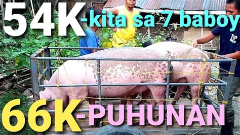 54K KITA SA 7 BABOY TIPS At DISKARTE PAANO KUMITA NG MALAKI SA