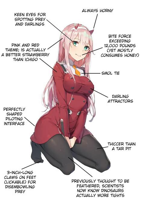 Perfect Waifu Rzerotwo